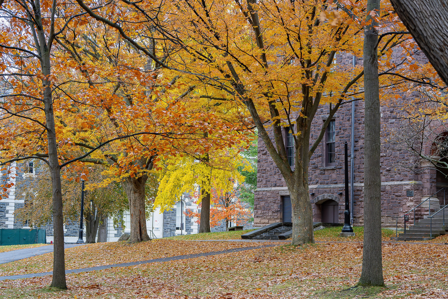 Brilliant Fall
